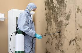 Best Asbestos and Lead Testing During Mold Inspection  in Bellefonte, PA